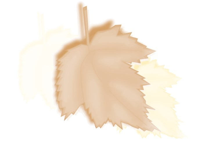 Ron-Promo-News-Post-May-Autumn-Leaf-270419-A1