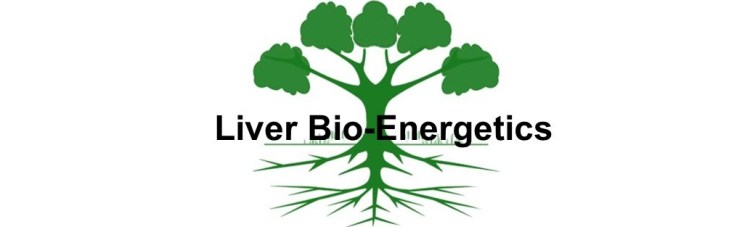 Spring-Liver-Bio-Energetics-050920-A1